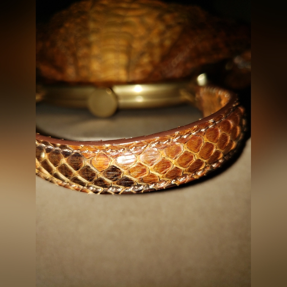 Super Rare Flawless. Donna Karan burnt orange python snakeskin mini bag - Picture 15 of 16